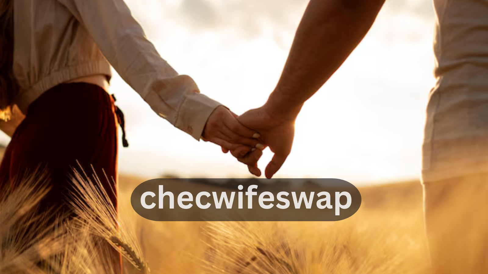 Checwifeswap: Exploring the Dynamics of Relationship Exchange