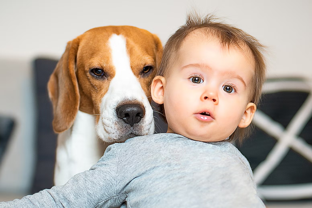 Don’t Put a Human Child Down Like a Dog: A Guide to Positive Parenting Techniques